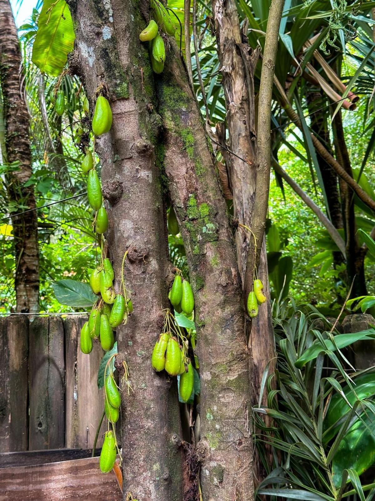 Casa Da Gloria Trancoso - Pousada Boutique Zewnętrze zdjęcie